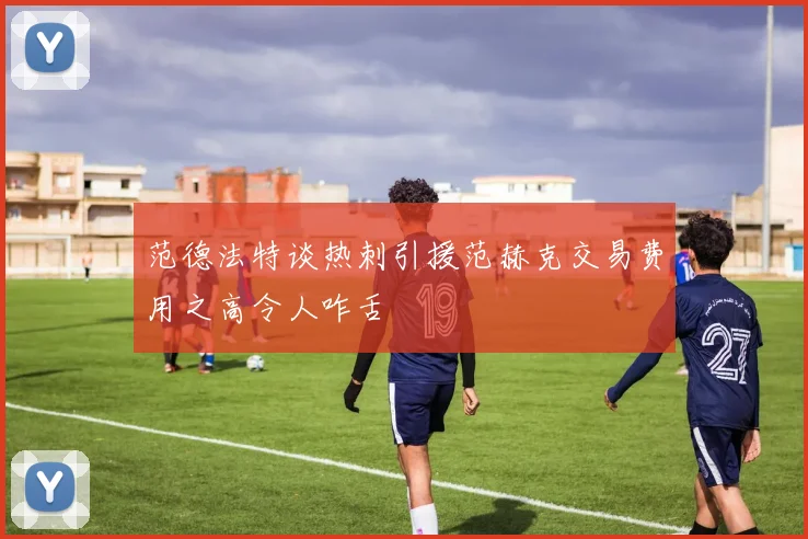 范德法特谈热刺引援范赫克交易费用之高令人咋舌